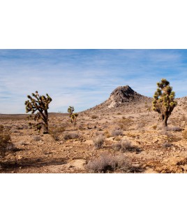 Seminary in the Desert